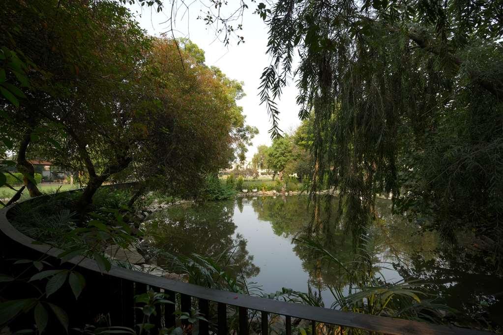Best Western Resort Country Club Gurgaon Dış mekan fotoğraf